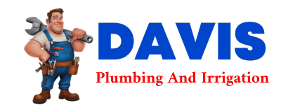 Trusted plumber in TEXOLA